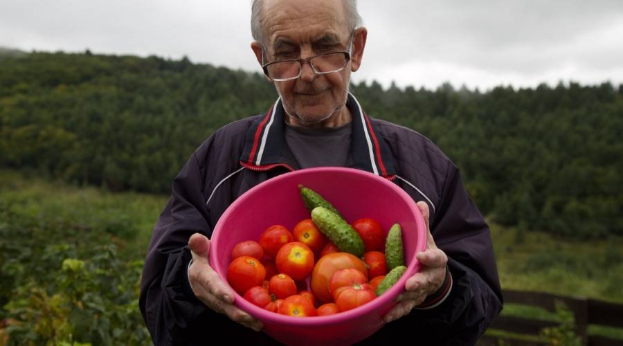 «Це дає відчуття, що ми потрібні»: підопічні хоспісу вирощують овочі та зелень»
